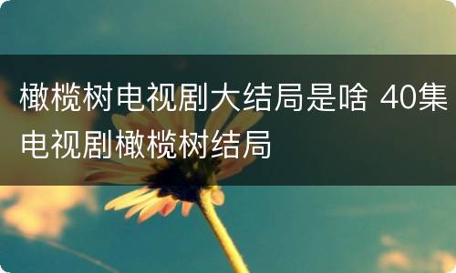 橄榄树电视剧大结局是啥 40集电视剧橄榄树结局