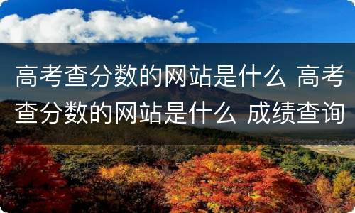 高考查分数的网站是什么 高考查分数的网站是什么 成绩查询