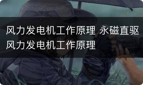 风力发电机工作原理 永磁直驱风力发电机工作原理