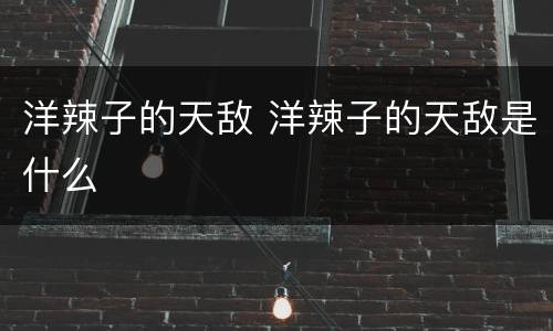 洋辣子的天敌 洋辣子的天敌是什么
