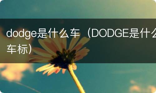 dodge是什么车（DODGE是什么车标）