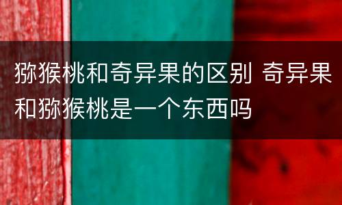 猕猴桃和奇异果的区别 奇异果和猕猴桃是一个东西吗