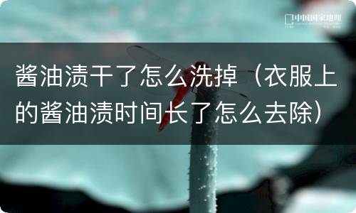 酱油渍干了怎么洗掉（衣服上的酱油渍时间长了怎么去除）