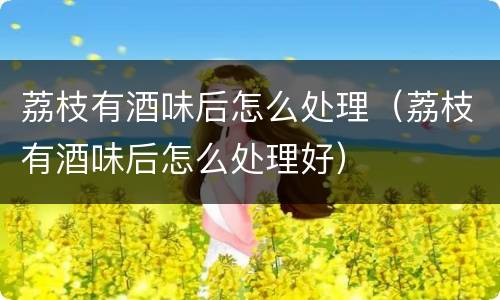 荔枝有酒味后怎么处理（荔枝有酒味后怎么处理好）