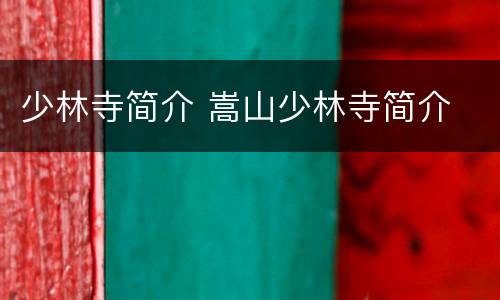 少林寺简介 嵩山少林寺简介