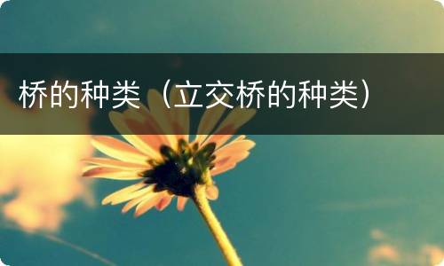 桥的种类（立交桥的种类）