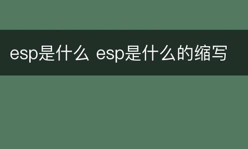 esp是什么 esp是什么的缩写