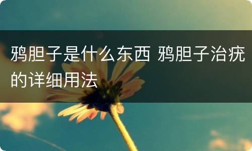 鸦胆子是什么东西 鸦胆子治疣的详细用法
