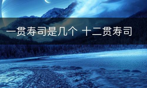 一贯寿司是几个 十二贯寿司