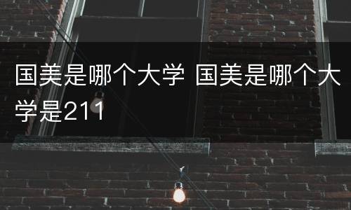 国美是哪个大学 国美是哪个大学是211