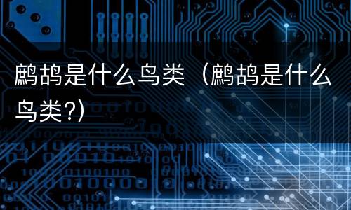 鹧鸪是什么鸟类（鹧鸪是什么鸟类?）