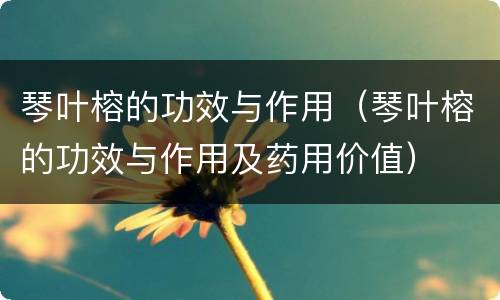 琴叶榕的功效与作用（琴叶榕的功效与作用及药用价值）