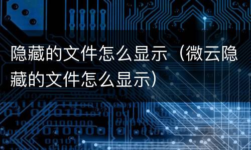 隐藏的文件怎么显示（微云隐藏的文件怎么显示）
