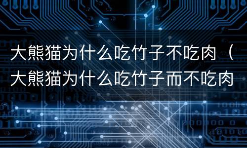 大熊猫为什么吃竹子不吃肉（大熊猫为什么吃竹子而不吃肉）