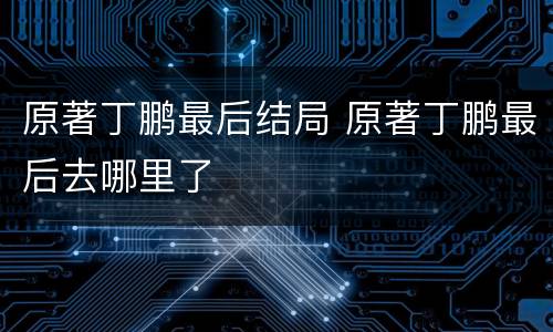 原著丁鹏最后结局 原著丁鹏最后去哪里了