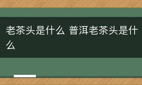 老茶头是什么 普洱老茶头是什么