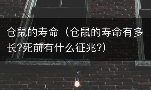 仓鼠的寿命（仓鼠的寿命有多长?死前有什么征兆?）