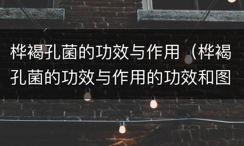 桦褐孔菌的功效与作用（桦褐孔菌的功效与作用的功效和图片）