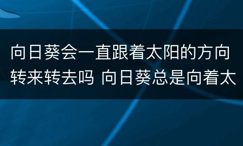 向日葵会一直跟着太阳的方向转来转去吗 向日葵总是向着太阳转吗