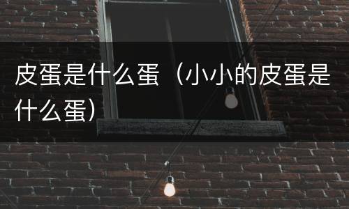 皮蛋是什么蛋（小小的皮蛋是什么蛋）