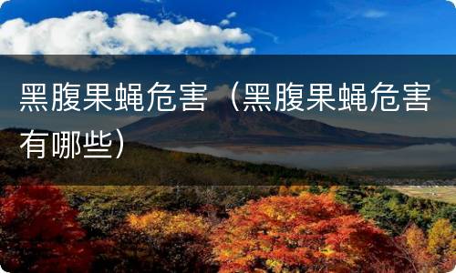 黑腹果蝇危害（黑腹果蝇危害有哪些）