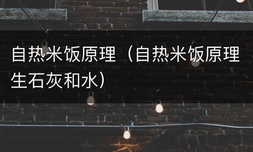 自热米饭原理（自热米饭原理生石灰和水）