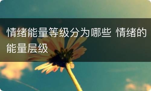 情绪能量等级分为哪些 情绪的能量层级