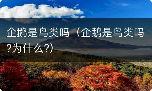 企鹅是鸟类吗（企鹅是鸟类吗?为什么?）