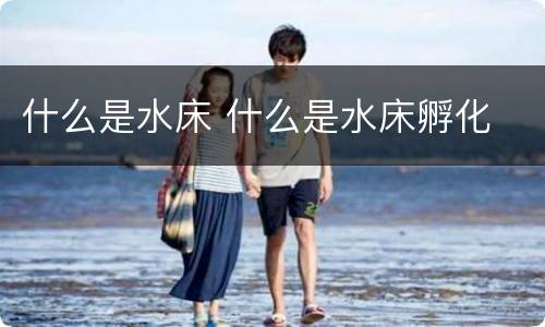 什么是水床 什么是水床孵化