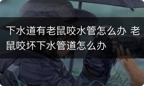 下水道有老鼠咬水管怎么办 老鼠咬坏下水管道怎么办