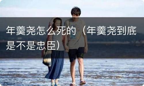 年羹尧怎么死的（年羹尧到底是不是忠臣）