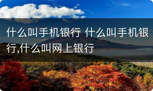 什么叫手机银行 什么叫手机银行,什么叫网上银行