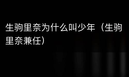生驹里奈为什么叫少年（生驹里奈兼任）