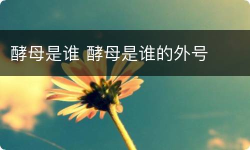 酵母是谁 酵母是谁的外号