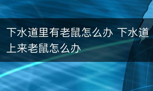 下水道里有老鼠怎么办 下水道上来老鼠怎么办