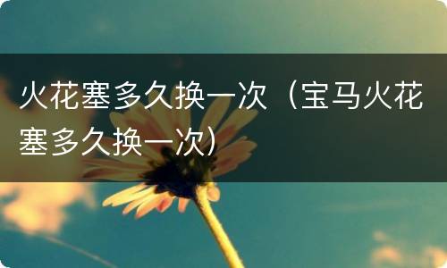 火花塞多久换一次（宝马火花塞多久换一次）