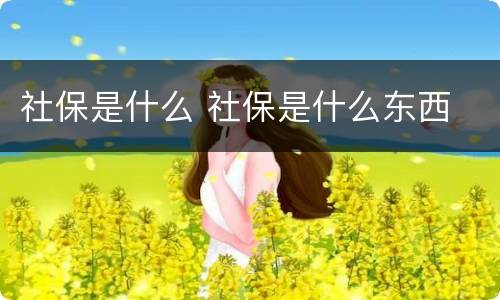 社保是什么 社保是什么东西
