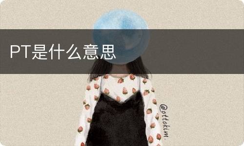 PT是什么意思