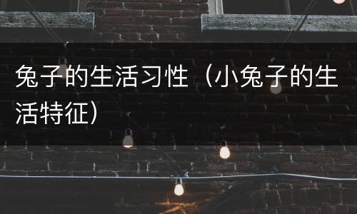 兔子的生活习性（小兔子的生活特征）