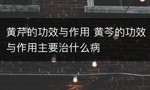 黄芹的功效与作用 黄芩的功效与作用主要治什么病