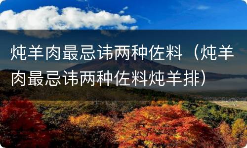 炖羊肉最忌讳两种佐料（炖羊肉最忌讳两种佐料炖羊排）