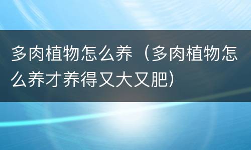 多肉植物怎么养（多肉植物怎么养才养得又大又肥）