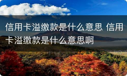 信用卡溢缴款是什么意思 信用卡溢缴款是什么意思啊