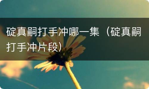 碇真嗣打手冲哪一集（碇真嗣打手冲片段）