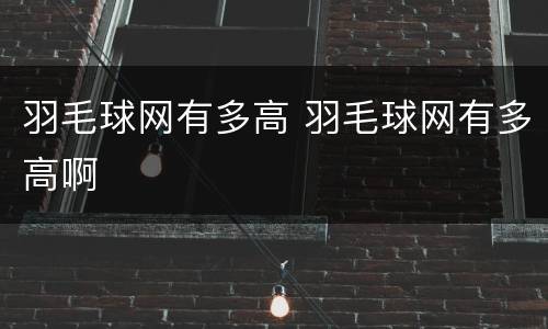 羽毛球网有多高 羽毛球网有多高啊