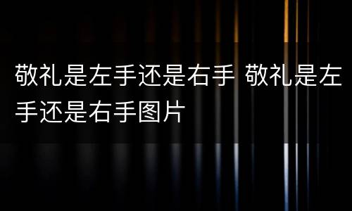 敬礼是左手还是右手 敬礼是左手还是右手图片