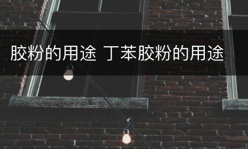 胶粉的用途 丁苯胶粉的用途