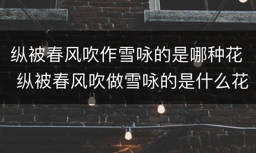 纵被春风吹作雪咏的是哪种花 纵被春风吹做雪咏的是什么花
