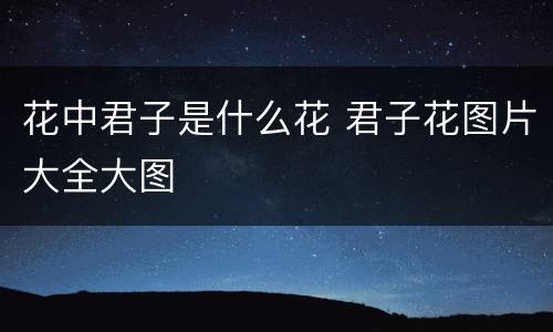 花中君子是什么花 君子花图片大全大图