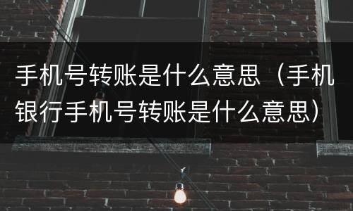 手机号转账是什么意思（手机银行手机号转账是什么意思）